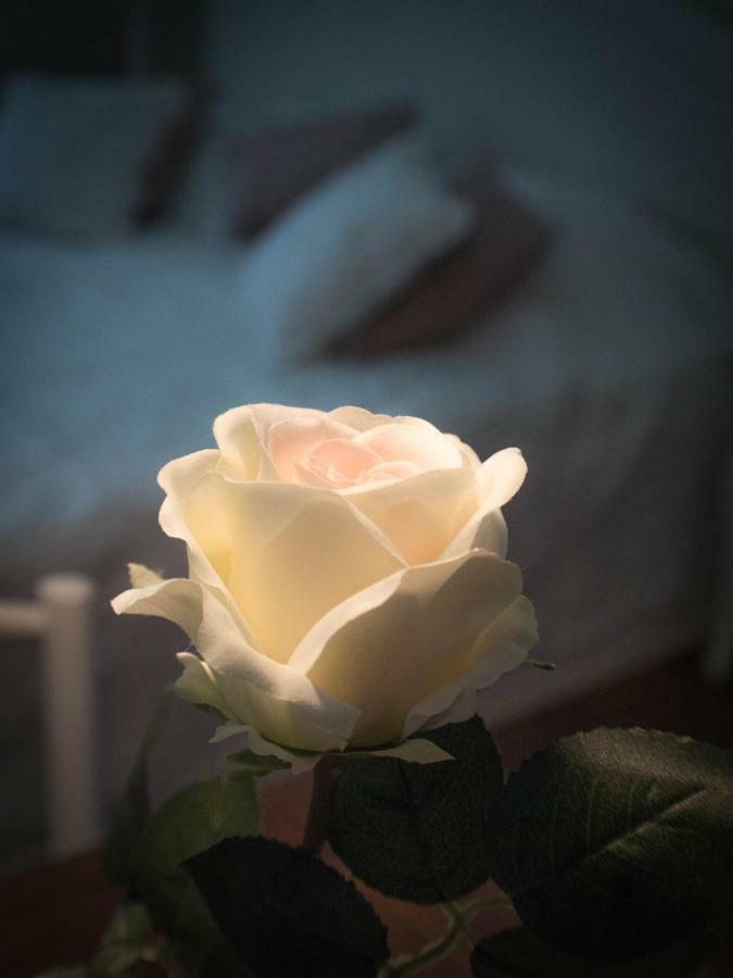 Feliz Apartman Gyula Buitenkant foto